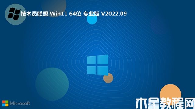 技術員聯(lián)盟win11 64位 純凈精選版v2022.09(圖5)
