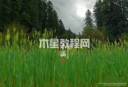 ppt背景圖片設(shè)置|office辦公軟件入門基礎(chǔ)教程(圖4)