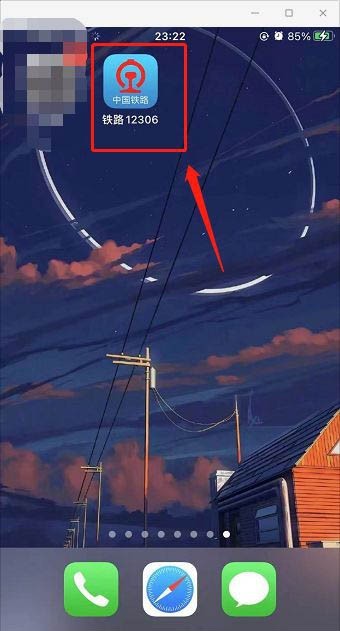 12306
