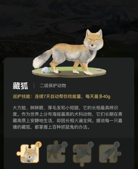 螞蟻森林藏狐收取能量什么意思 螞蟻森林藏狐怎樣收取能量(圖5)