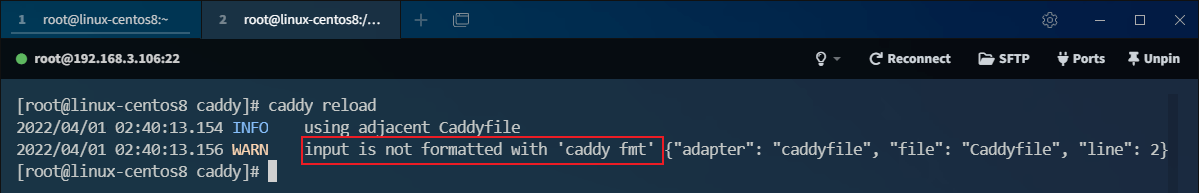 超越Nginx的Web服務(wù)器caddy優(yōu)雅用法