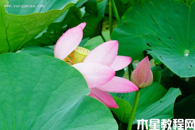 遼寧鐵寧 遼寧鐵寧