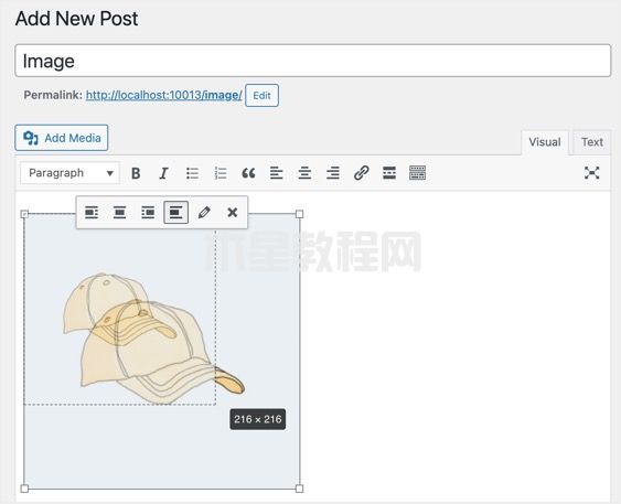 在WordPress經(jīng)典編輯器中調(diào)整圖像大小