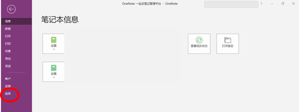 OneNote2016黑色主題怎么使用?(圖4)