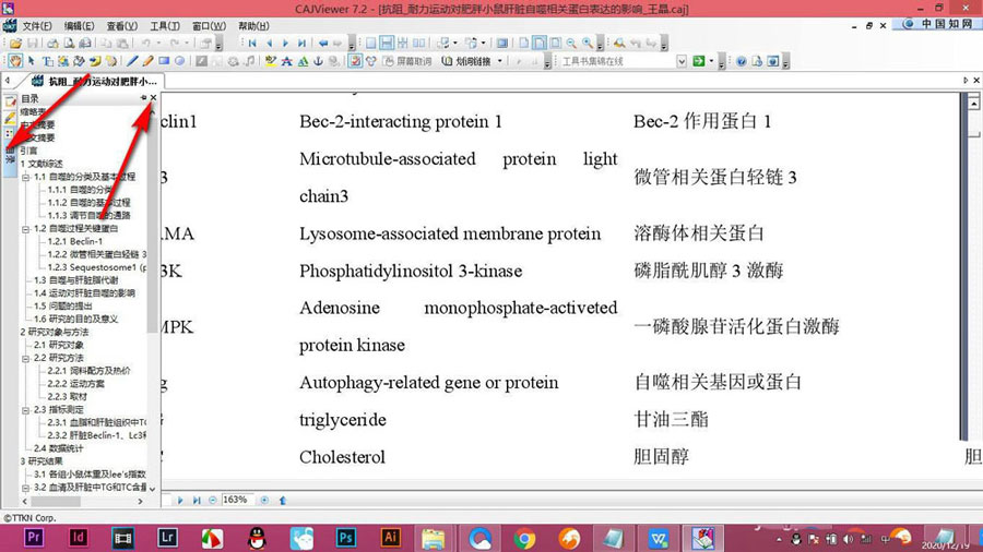 CAJViewer論文不顯示目錄怎么辦? CAJViewer論文顯示目錄的技巧(圖2)