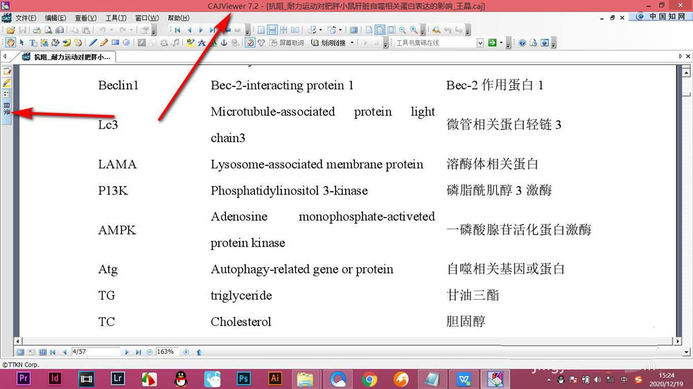 CAJViewer論文不顯示目錄怎么辦? CAJViewer論文顯示目錄的技巧(圖1)