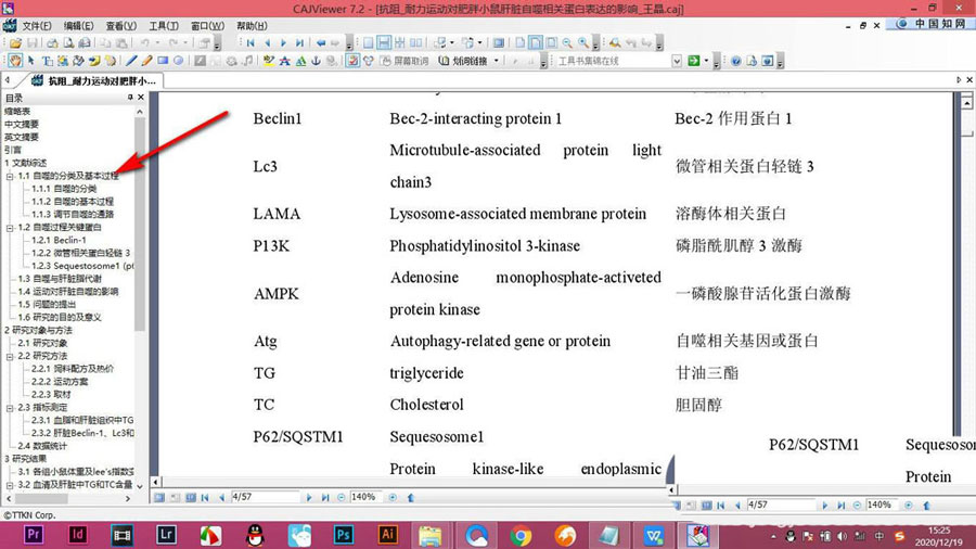 CAJViewer論文不顯示目錄怎么辦? CAJViewer論文顯示目錄的技巧(圖6)