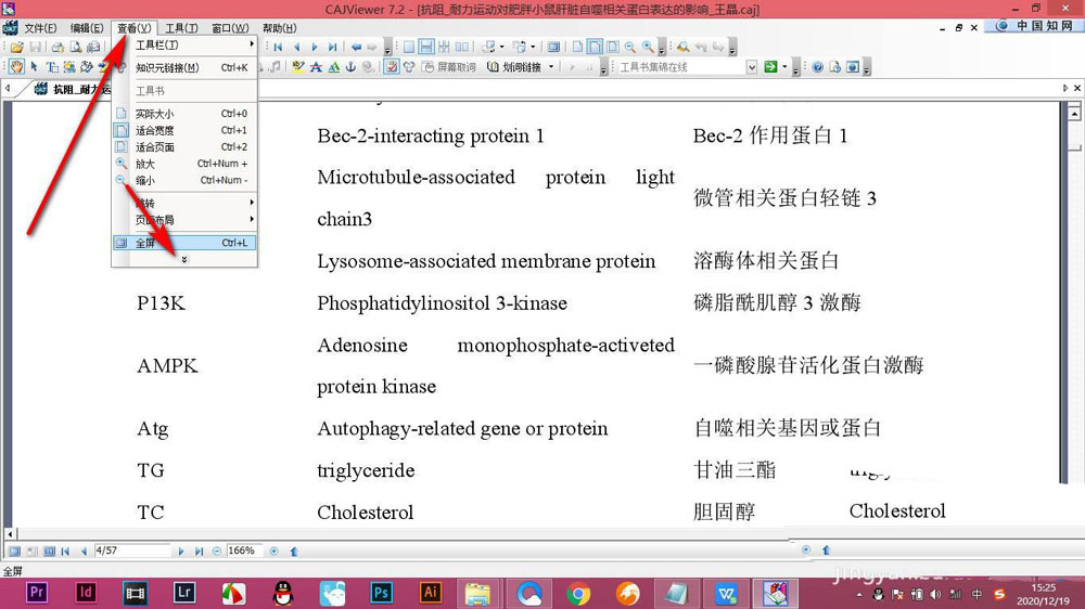 CAJViewer論文不顯示目錄怎么辦? CAJViewer論文顯示目錄的技巧(圖4)