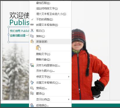 創(chuàng)建publisher的簡要流程教程(圖5)