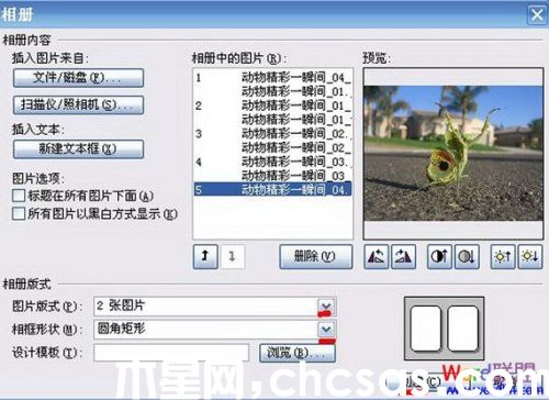 如何用PowerPoint制作電子相冊