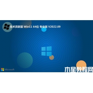技術(shù)員聯(lián)盟win11 64位 純凈精選版v2022.09