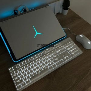 LEGION 聯(lián)想拯救者 拯救者 R9000P 2021款 16英寸游戲筆記本電腦（R7-5800H、16GB、512G