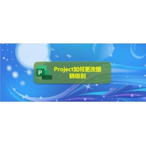 Project文件怎么更改撤銷級別?