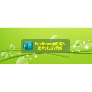 Publisher怎么裁剪圖片? Publisher圖片裁剪