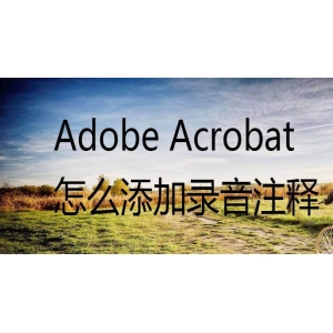 Acrobat怎么給pdf文件添加錄音注釋? Acrobat