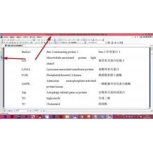 CAJViewer論文不顯示目錄怎么辦? CAJViewer