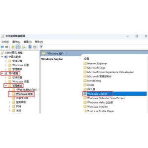 如何在Windows 11系統(tǒng)中完全禁用Windows Co